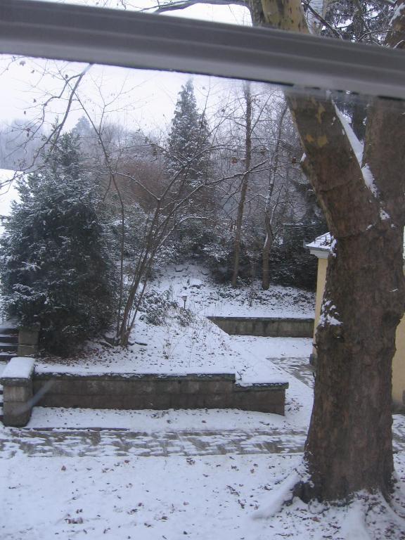 Mater Salvatoris House Hotel Gödöllő Екстериор снимка